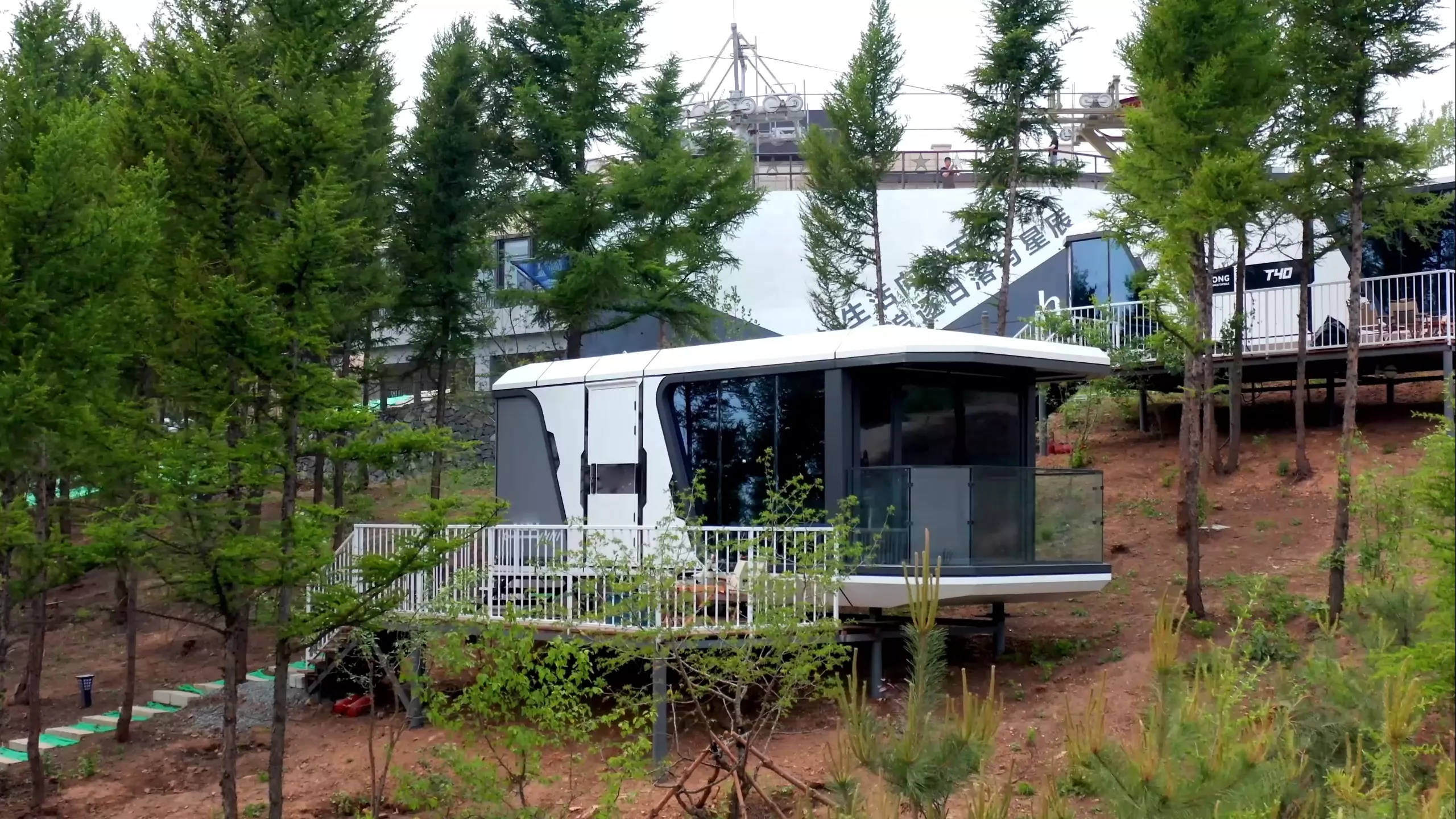 Forest‑view Homestay